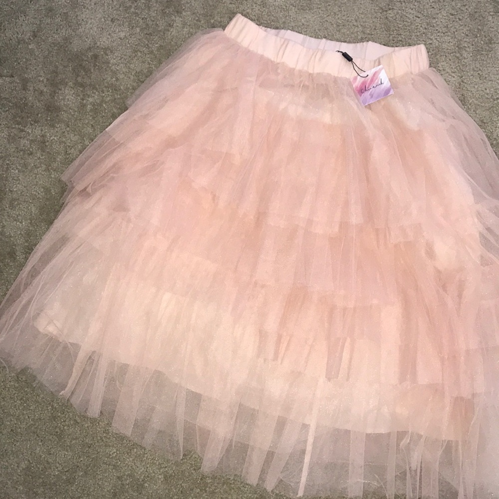 NWT Chicwish Tulle Midi Skirt